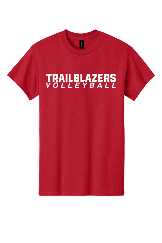 Gildan T Shirt